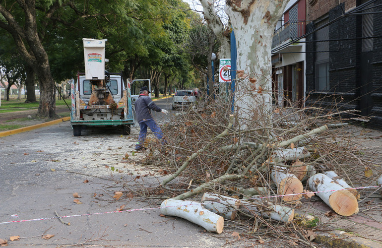 Foto: Municipalidad