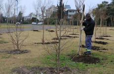 Foto: Municipalidad