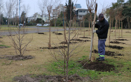 Foto: Municipalidad