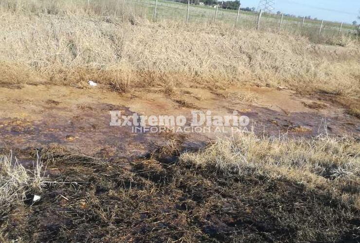 Imagen de Fotografían camión arrojando líquidos en zona rural