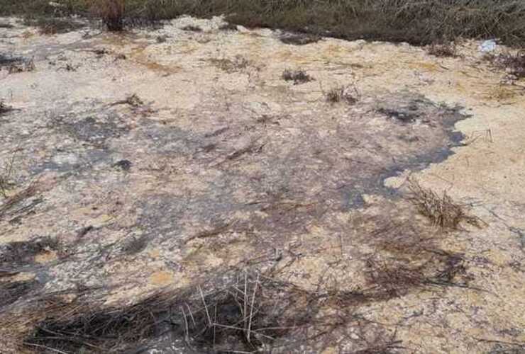 Una de las imágenes que llegó a Extremo Diario el pasado 28 de junio.