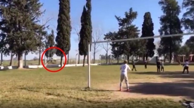 La imagen de la máquina fumigando y los chicos jugando.