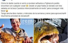 Sacaron un dorado con tres sábalos en su boca.