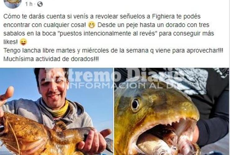 Sacaron un dorado con tres sábalos en su boca.