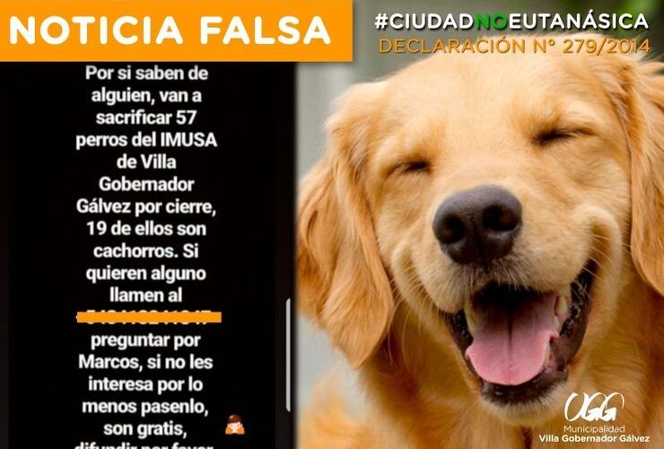 Imagen de La Municipalidad de V.G.Gálvez salió al cruce de denuncias sobre sacrificio de perros