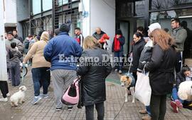 Amplia convocatoria. Muchos vecinos se acercaron a llevar a sus mascotas desde temprano.
