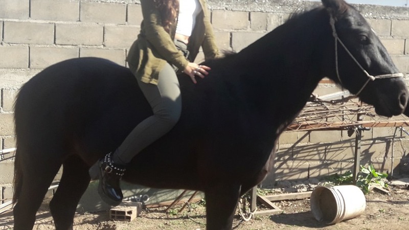 Imagen de Arroyo Seco: Le robaron el caballo a su hijo