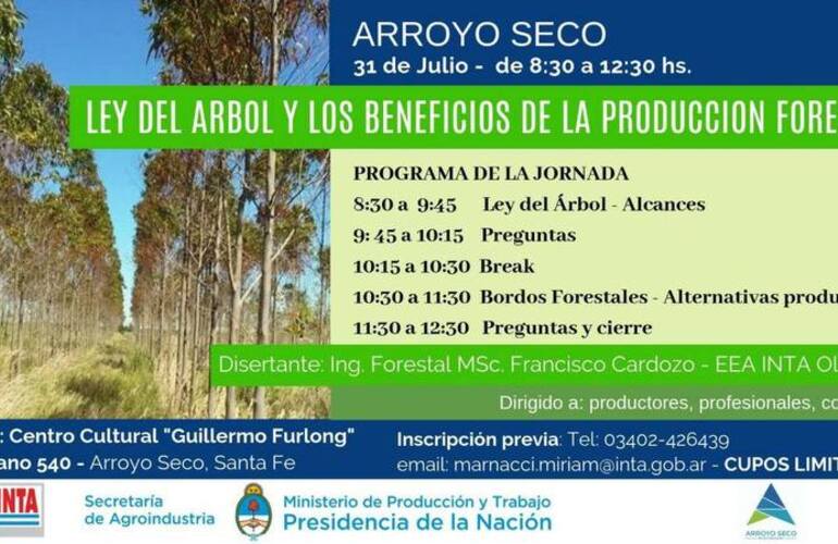 Imagen de Alcances de la Ley del Árbol y Producción Forestal