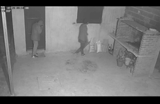 Pudo ver a los delincuentes que intentaron ingresar a su casa mediante las cámaras que instaló en su propiedad.