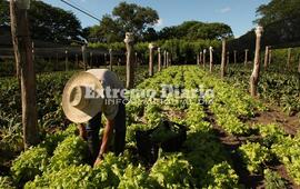 Sera hoy lunes a cargo de la Secretaría de Agricultura Provincial.