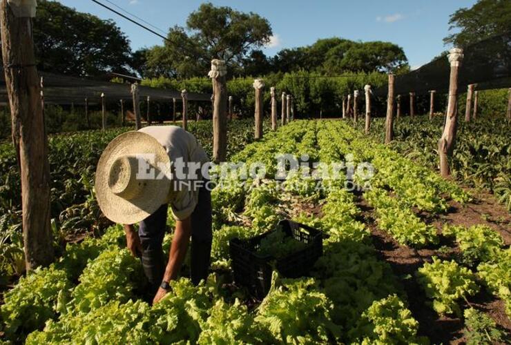 Sera hoy lunes a cargo de la Secretaría de Agricultura Provincial.