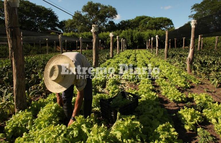 Sera hoy lunes a cargo de la Secretaría de Agricultura Provincial.