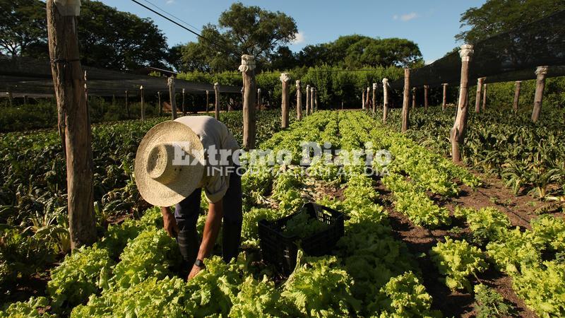 Sera hoy lunes a cargo de la Secretar&iacute;a de Agricultura Provincial.