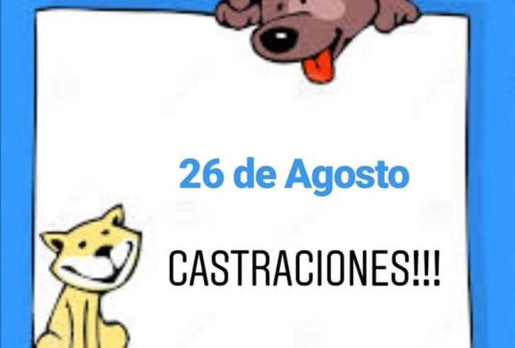 Imagen de Ya está la fecha para la nueva campaña de castraciones