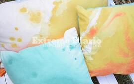 La inscripci&oacute;n a ambos cursos ya est&aacute; abierta.