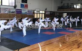 Patadas al aire de los Taekwondistas en pleno Seminario.