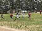 Duelo de Juveniles en Panzas y Gatos.