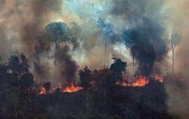 Imagen de Bomberos Voluntarios santafesinos fueron convocados por el incendio en el Amazonas