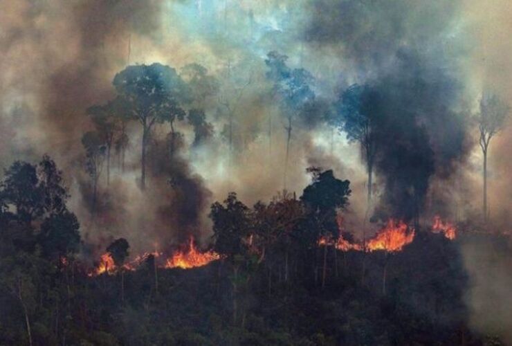 Imagen de Bomberos Voluntarios santafesinos fueron convocados por el incendio en el Amazonas