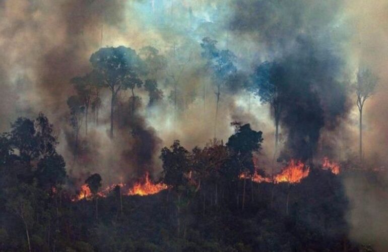 Imagen de Bomberos Voluntarios santafesinos fueron convocados por el incendio en el Amazonas