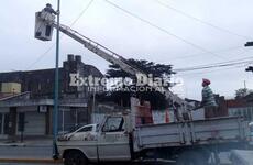 Imagen de Trabajos de pintura y embellecimiento en Avenida Libertad