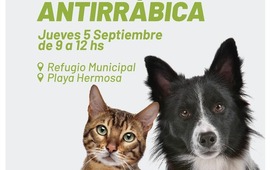 Imagen de Campa&ntilde;a gratuita de vacunaci&oacute;n antirr&aacute;bica para perros y gatos