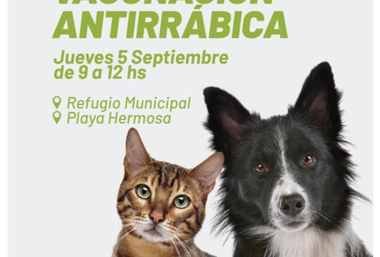 Imagen de Campaña gratuita de vacunación antirrábica para perros y gatos