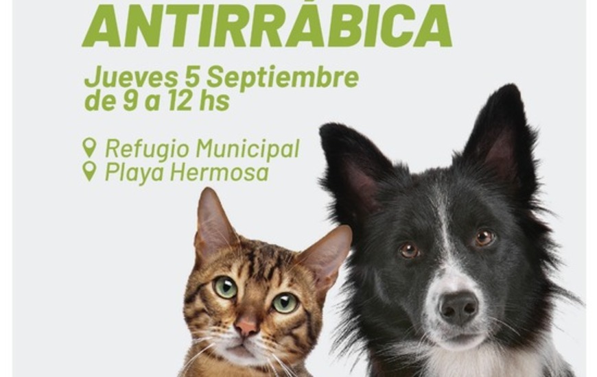 Imagen de Campa&ntilde;a gratuita de vacunaci&oacute;n antirr&aacute;bica para perros y gatos