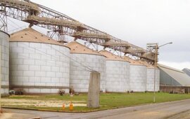 Imagen de Huelga nacional de aceiteros por falta de respuesta de las c&aacute;maras patronales