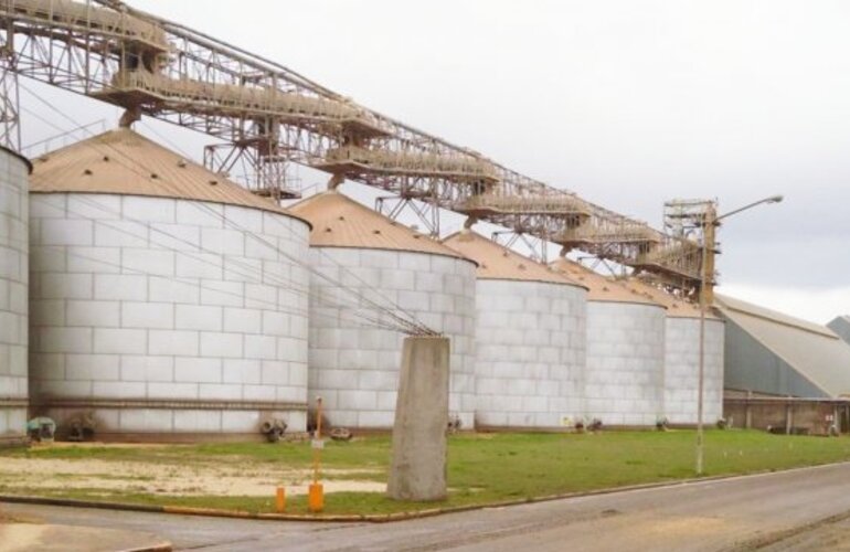 Imagen de Huelga nacional de aceiteros por falta de respuesta de las c&aacute;maras patronales