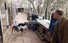 Imagen de Jornada de vacunaci&oacute;n antirr&aacute;bica