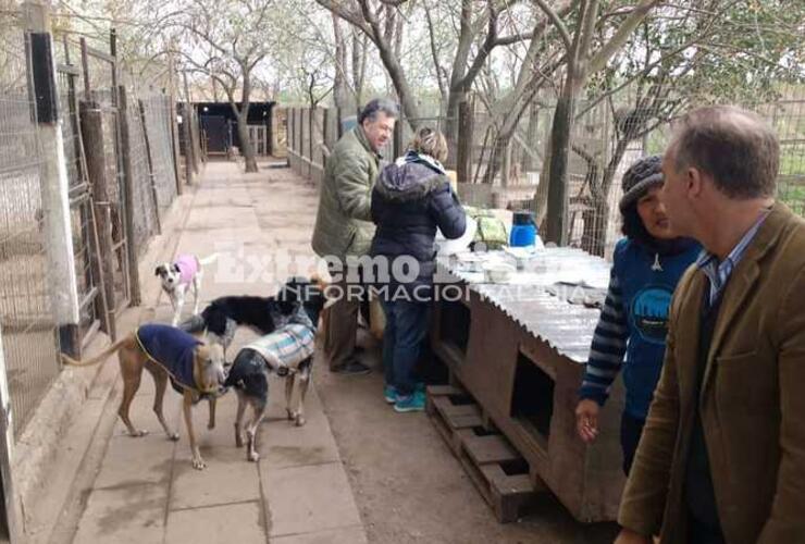 Imagen de Jornada de vacunación antirrábica