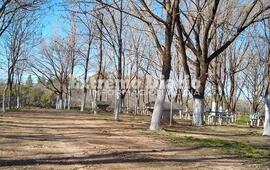 Como cada a&ntilde;o, el camping es uno de lo elegidos para recibir la nueva estaci&oacute;n.