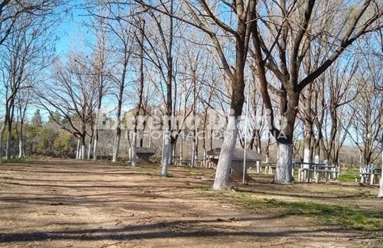 Como cada año, el camping es uno de lo elegidos para recibir la nueva estación.