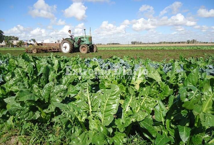 Es el sello de calidad de producción agroecológica