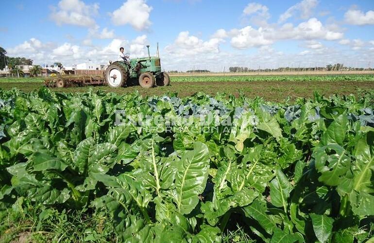 Es el sello de calidad de producci&oacute;n agroecol&oacute;gica