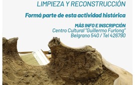 Imagen de Form&aacute; parte de esta actividad hist&oacute;rica: Limpieza y reconstrucci&oacute;n de la macrauchenia