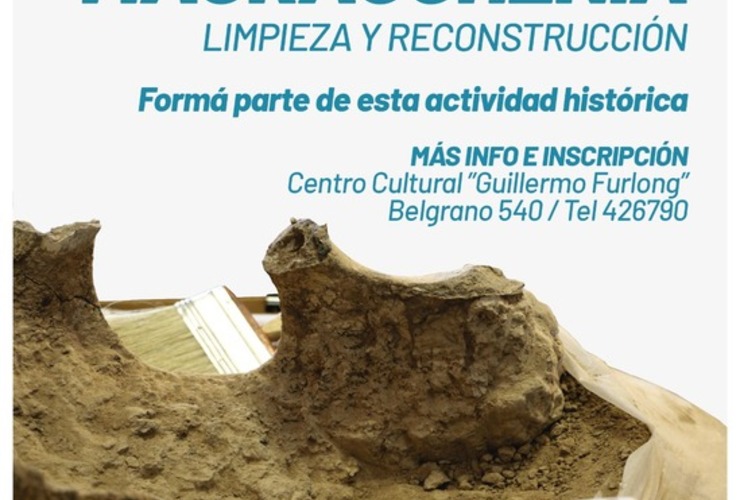 Imagen de Formá parte de esta actividad histórica: Limpieza y reconstrucción de la macrauchenia