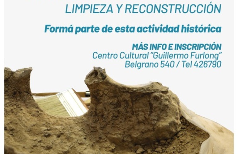 Imagen de Formá parte de esta actividad histórica: Limpieza y reconstrucción de la macrauchenia