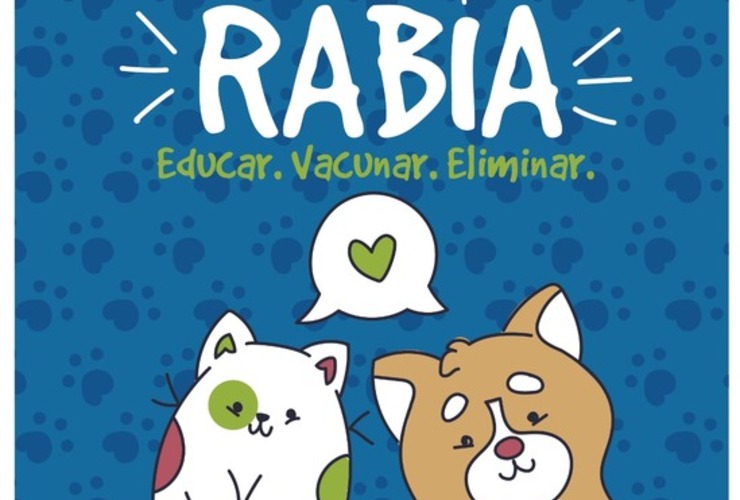 Imagen de Día Mundial Contra la Rabia: Educar, Vacunar y Eliminar