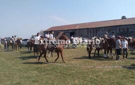 Imagen de Albarellos: Destreza criolla a beneficio del SAMCo