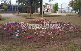 La Comuna embellece diferentes espacios.