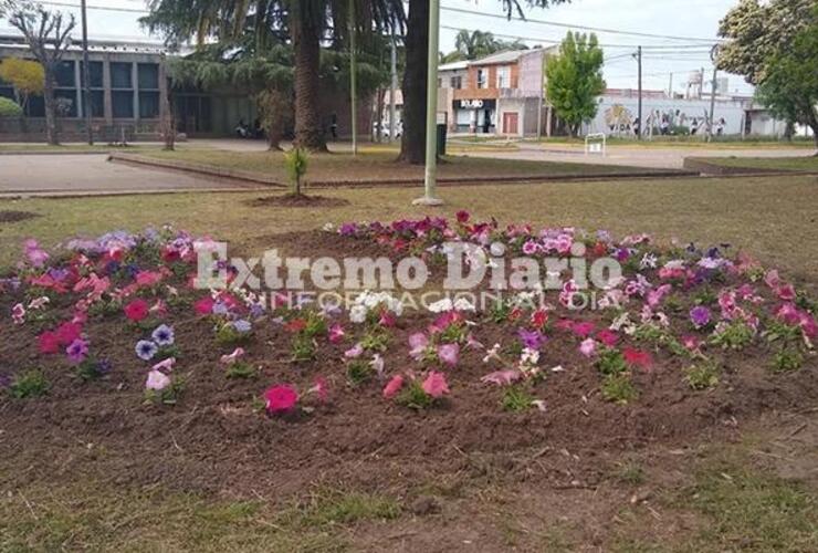 La Comuna embellece diferentes espacios.