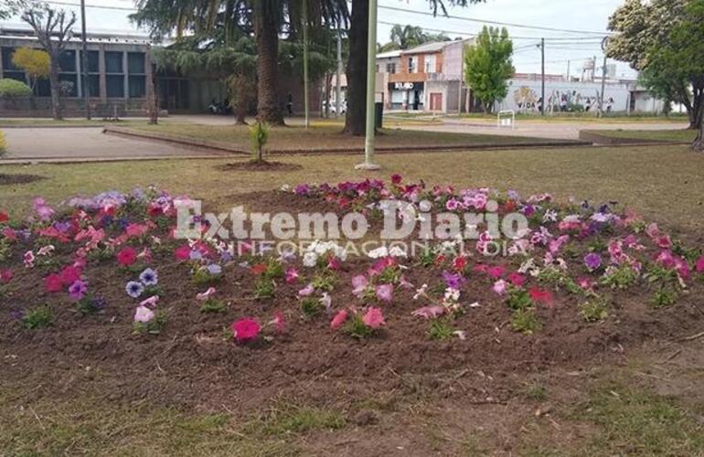 La Comuna embellece diferentes espacios.