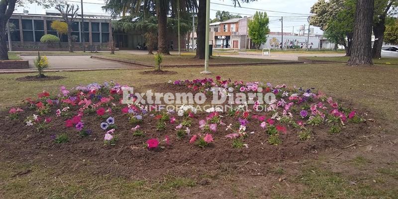 La Comuna embellece diferentes espacios.