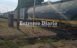 Imagen de Caos en el tr&aacute;nsito: Descarrilaron vagones a la altura de Dreyfus