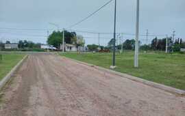 En el fondo de la foto tomada desde el loteo, pueden observarse varios equinos sobre la calle.