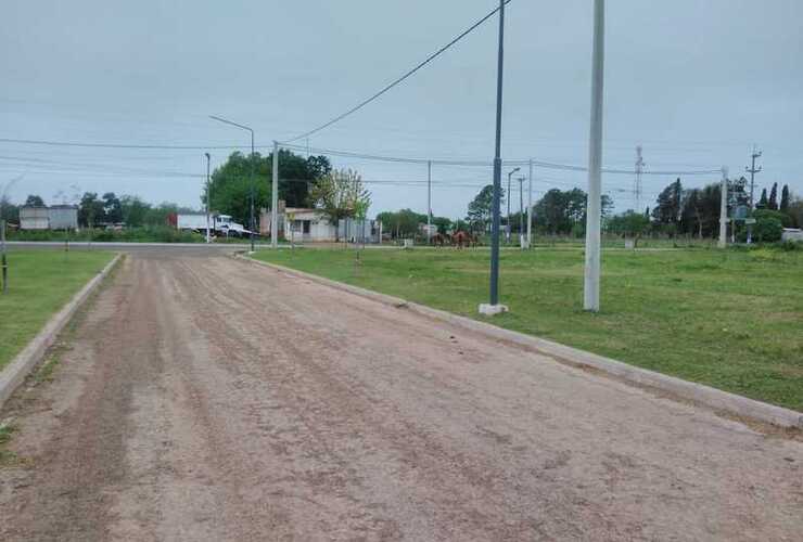 En el fondo de la foto tomada desde el loteo, pueden observarse varios equinos sobre la calle.