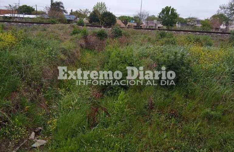 Las im&aacute;genes llegaron a nuestra redacci&oacute;n.