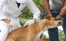 Este viernes comenzar&aacute; la campa&ntilde;a.